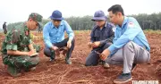 Đồng Nai: Đội K72 phát hiện thêm súng AK và di vật tại xã Minh Đức