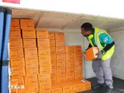 Động đất tại Venezuela: Tiếp nhận hơn 700.000 tấn hàng cứu trợ nhân đạo quốc tế