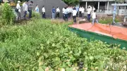 Đồng Tháp: Gần 68ha cây trồng thiệt hại bất thường, nghi do nguồn nước