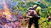 Nghệ An yêu cầu chủ tịch xã chịu trách nhiệm nếu để cháy rừng lớn