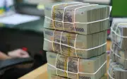 Nghị định 291/2026: Phạt tới 100 triệu đồng vi phạm cung cấp thông tin thuế