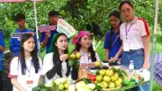 Nghị định mới siết chặt quản lý livestream bán hàng trên sàn TMĐT