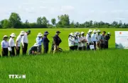 Nghị định mới về khuyến nông thúc đẩy nông nghiệp bền vững