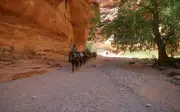 Ngôi làng Supai hẻo lánh: Nơi duy nhất ở Mỹ dùng la chở thư