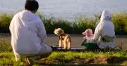 Người trẻ Hàn Quốc không sợ sinh con, sợ con thành 'kẻ thua cuộc'