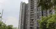 Người trẻ TP.HCM chuyển sang thuê nhà dài hạn vì giá nhà quá cao
