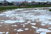 Nguyên nhân bọt trắng phủ sông Kỳ Cùng: can chất tạo bọt nano bị đổ xuống cống
