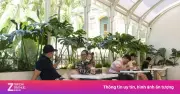 Nhạc AI âm thầm vào quán cà phê sau quy định bản quyền