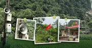 Những câu nói thông tin nội rèo cao của giới trẻ Việt