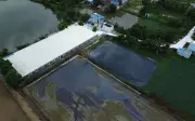 Ninh Bình chỉ đạo kiểm tra trang trại chăn nuôi rò rỉ nước thải