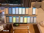 Ninh Bình triệt phá đường dây cá độ bóng đá hơn 900 tỷ đồng