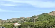 Nông dân Điện Biên giảm nghèo nhờ trợ lý ảo AI thông tin nông nghiệp