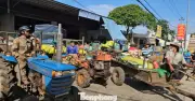 Nông dân Đắk Lắk đổ xô bán cà phê khi giá chạm mốc 100.000 đồng/kg