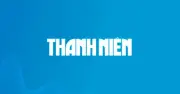 Đà Nẵng lập cơ chế quản lý chó mèo thả rông, phòng bệnh dại từ gốc