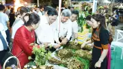 Đà Nẵng tổ chức 'Hành trình Quốc bảo Sâm Ngọc Linh' định kỳ hàng tháng