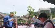 Đà Nẵng tổ chức lễ hội Sâm Ngọc Linh quốc tế 2026, quyết tâm chống sâm giả