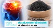 Não bộ xuống cấp từ tuổi 20? Sự thật về mè đen và tóc bạc sớm