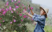 NSƯT Việt Hoàn: Từ 'ông hoàng nhạc đỏ' đến cuộc sống bình yên giữa núi đồi