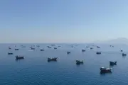 Oman đề xuất thu phí eo biển Hormuz, Mỹ lo ngại