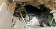 Đoàn cứu hộ Việt Nam tìm thấy 13 nạn nhân động đất tại Venezuela