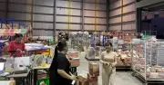 Áp lực thuế phí và cạnh tranh: Nhiều chủ shop online muốn quay lại làm thuê