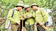 Pù Mát ứng dụng công nghệ số bảo vệ rừng đạt chuẩn Di sản ASEAN