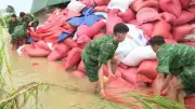 Áp thấp nhiệt đới trên Biển Đông có khả năng mạnh thành bão trong 24-48 giờ
