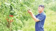 Phú Lương chuyển đổi cây trồng, vật nuôi hiệu quả, thu nhập ổn định