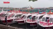 Phú Quốc: Hàng loạt canô, tàu du lịch tạm dừng hoạt động