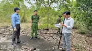 Phú Quốc siết chặt an ninh, xử lý 78 vụ án hình sự và vi phạm đất rừng
