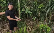 Phú Thọ: Bắt nam thanh niên đột nhập nhà dân cướp tài sản trong đêm