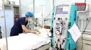 Phú Thọ: Cứu sống bé 15 tháng bị ong vò vẽ đốt 60 nốt