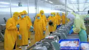 Phó Thủ tướng Hồ Quốc Dũng khảo sát, tháo gỡ khó khăn cho doanh nghiệp và chống sạt lở tại Cà Mau