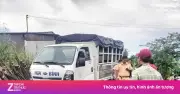 Phục hồi điều tra vụ nữ sinh tử vong do tai nạn giao thông ở Vĩnh Long