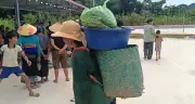 Phiên chợ cây nhà lá vườn tạo sinh kế bền vững ở vùng cao Thanh Hóa