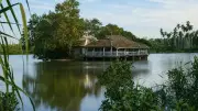 Phường An Nhơn xây dựng không gian văn hóa và kinh tế di sản sông Vàm Thuật