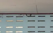 Phát hiện 3 con rắn xanh trên trần lớp học, giáo viên Thái Lan lập tức sơ tán học sinh