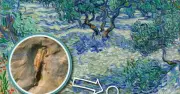 Phát hiện châu chấu chết ẩn trong tranh Van Gogh sau 128 năm