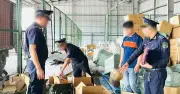 Phát hiện hơn 3.300 vụ xâm phạm sở hữu trí tuệ, khởi tố 85 vụ án