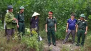 Phát hiện mộ liệt sĩ thời chống Pháp tại Huế, Đội 192 khẩn trương xác minh