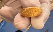 Phát hiện nhẫn vàng 2.500 năm tuổi khắc chữ cổ Ấn Độ tại Thái Lan