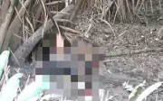 Phát hiện thi thể nam giới đang phân hủy dưới bùn tại rạch Nhà Bè