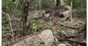 Phát hiện thành phố cổ Maya nguyên vẹn tại Mexico sau 30 năm tìm kiếm