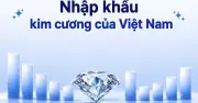 PNJ nhập kim cương từ Hong Kong và Thái Lan, Cục Hải quan hé lộ quy mô