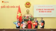 Quốc hội phê chuẩn bổ nhiệm nhân sự cấp cao tại Ủy ban Dân nguyện và các trợ lý Phó Chủ tịch