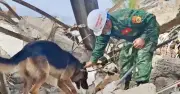 Quân khuyển Việt Nam góp công lớn cứu hộ động đất tại Venezuela