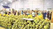 Quản lý mã số vùng trồng, xác định danh tính liệt sĩ, du lịch Quảng Ngãi