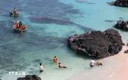 Quảng Ngãi hướng đến trở thành điểm đến nổi bật trong nước và quốc tế