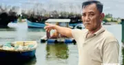Quảng Ngãi: Ngư dân vất vả vì thiếu cảng cá chỉ định cho tàu trên 15 mét