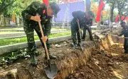 Quảng Ngãi tìm danh tính liệt sĩ: 15.771 mộ chưa xác định